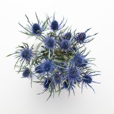 a bunch of blue flowers sitting on top of a white table