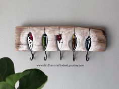 five fishing hooks hanging on a wooden board next to a potted plant and white wall