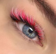 Colorful Eyelash Extensions, Eye Lash Style, Eye Lash Photography, Eyelash Decor, Eyelash Studio, Eyelash Salon, Eyelash Enhancer