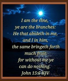 an image with the words i am the vine, ye are the branches he that abideth in me and i'm him