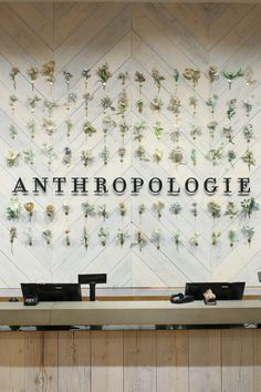 the front desk of an anthropologie store, with flowers on it