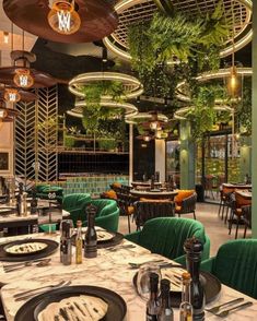 the interior of a restaurant with green velvet chairs and round chandeliers hanging from the ceiling