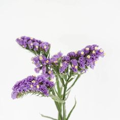 purple flowers are in a glass vase on a table