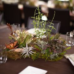 an arrangement of plants and flowers on a table with place settings for dinner guests to sit at