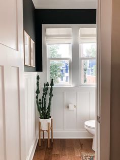 a white toilet sitting in a bathroom next to a window and a potted plant