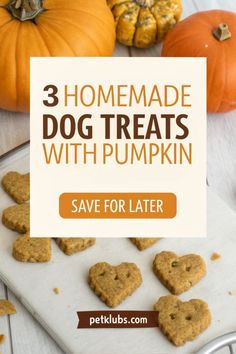 3 Homemade Dog Treats With Pumpkin Homemade Dog Treats With Pumpkin, Dog Treats With Pumpkin, Homemade Pumpkin Dog Treats, Dog Treats Homemade Pumpkin, Pet Treats Recipes, Easy Dog Treat Recipes, Dog Biscuit Recipes, Dog Pumpkin, Easy Dog Treats