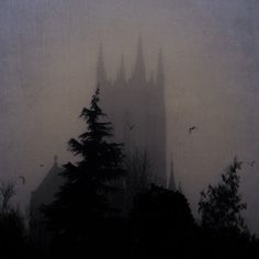 a foggy cathedral with trees in the foreground