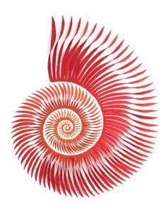 a red and white spiral design on a white background