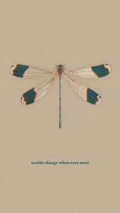 a blue and orange dragonfly with the words world change when eyes meet