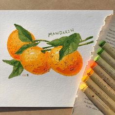 some colored pencils are laying on top of a piece of paper with an image of two oranges