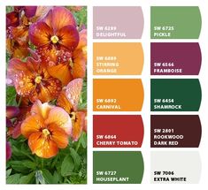 an image of flowers that are in the color scheme for each flower species and their names