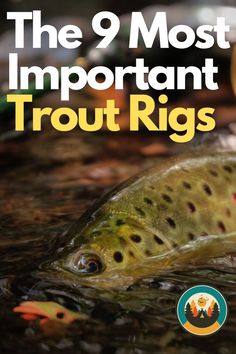 the 9 most important trout rigs