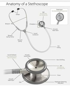 the anatomy of a stethoscope