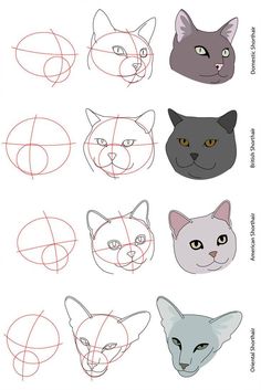 how to draw cats with different shapes and sizes