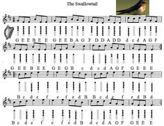 sheet music with words and pictures of birds on it