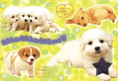 there are four puppies on this card