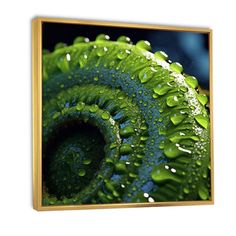 a green plant with drops of water on it's leaves, framed in wooden frame