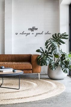 a living room with a couch, coffee table and potted plant