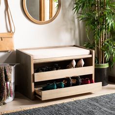 there is a shoe rack with many pairs of shoes in it next to a potted plant