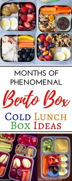 the month's meal bento box lunch box ideas