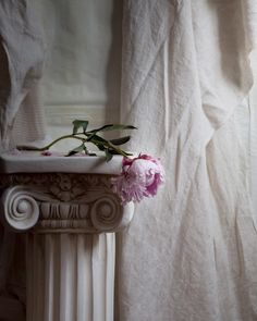 a pink flower sitting on top of a white column