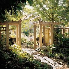 an outdoor garden with lots of plants and trees