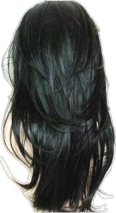 the back of a woman's head with black hair