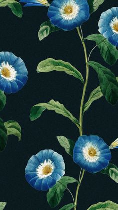 Detailed illustrations of blue petunia flowers against a dark background, available on wallpaper Blue Petunias, Speckled Texture, Vertical Pattern, Repeat Pattern, Dream Bedroom, Petunias, Floral Wallpaper