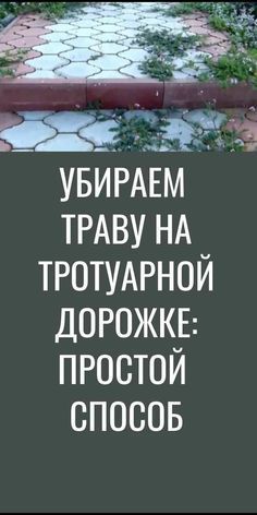 the words are written in russian and english