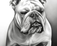 a black and white drawing of a bulldog