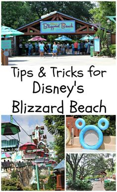 disneyland's blizzard beach tips and tricks