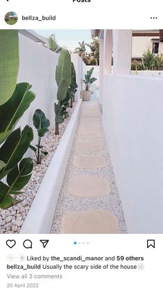 an image of a long narrow walkway between two buildings with plants on each side and rocks in the middle