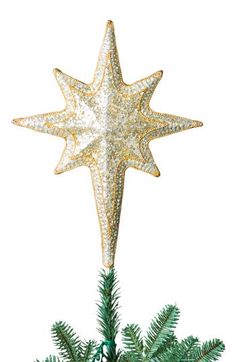 a gold and white star ornament on top of a green christmas tree branch