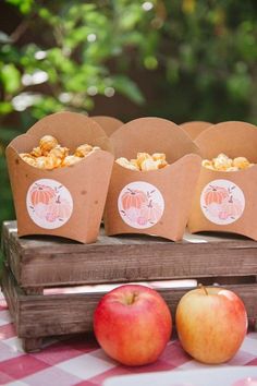 apples and popcorn are sitting on a picnic table next to some boxes with treats in them