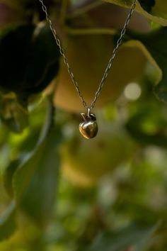 "A simple, yet elegant, tiny golden apple necklace. This adorable realistic apple is 3D and made from solid cast raw brass. It dangles from a delicate solid sterling silver chain.  A patina has been added to create an antique look. The sterling silver chain is included with this purchase. I have two chain length options to choose from: 16\" and 18\". Please pick your preferred chain length from the drop down menu. In ancient mythology, the apple is one of the most sacred trees and symbolises goo Apple Pendant Necklace, Golden Apple Aesthetic, Golden Necklace Aesthetic, Apple Jewelry, Snow White Apple, Apple Necklace, Tiny Jewelry, Fruit Necklace, Fruit Jewelry