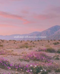 a field with purple flowers and mountains in the background that says small steps still move you forward