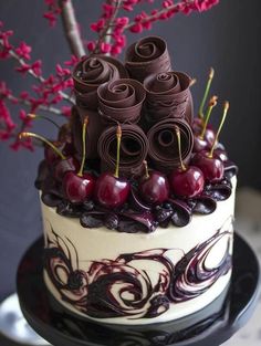 a cake with chocolate and cherries on top