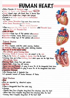 the human heart is shown in red and black, as well as other words on white paper