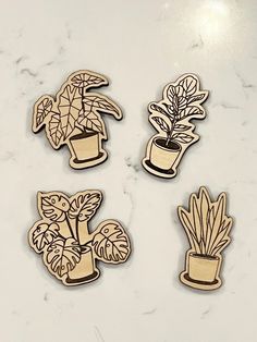 four wooden magnets with plants in them sitting on a counter top next to each other