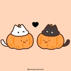 two cats sitting next to each other on top of pumpkins