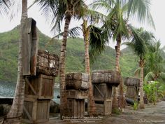 there are many palm trees next to the water and some huts on the shore with mountains in the background