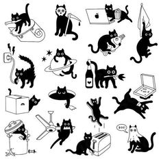 black and white illustrations of cats in various poses