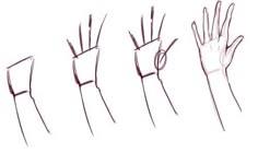 Draw Hands, Hand Gestures, Hand Drawing Reference, Art Tools Drawing, Sketches Tutorial, Easy Drawings Sketches, Easy Doodles Drawings, Concept Art Drawing, Cute Easy Drawings