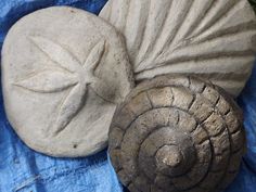 two stone seashells sitting next to each other on a blue cloth covered surface