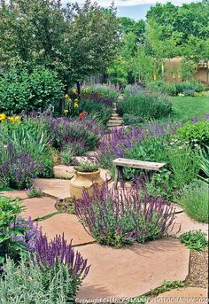 a garden with purple flowers and lavender plants in the foreground, surrounded by trees