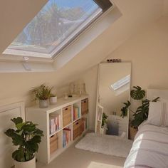 a bedroom with a skylight above the bed and bookshelf on the wall