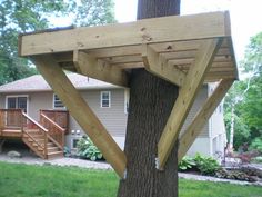 a tree house built into the side of a tree in front of a large house