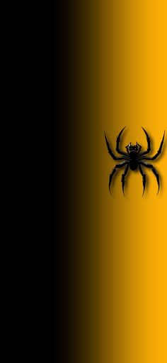 a black and yellow background with a spider on it