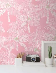 a pink wallpaper with white palm leaves on it and a camera next to it