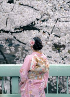 a woman in a kimono looking at cherry blossoms